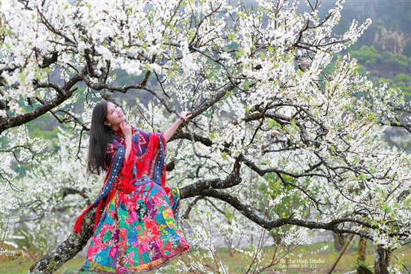 Mùa Xuân trong ca dao Việt Nam