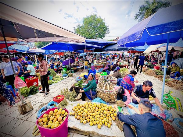 Sắc màu chợ phiên Bắc Hà