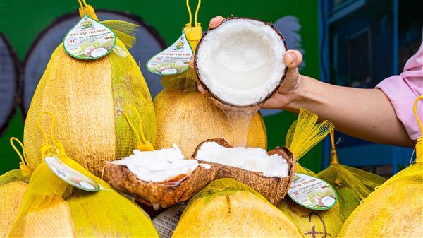 Ngọt thơm dừa sáp Trà Vinh