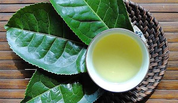 Mát lành bát nước vối vườn quê