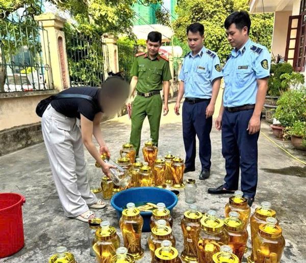 Tiêu hủy 142 lít rượu sâm không rõ nguồn gốc xuất xứ 21/07/2025